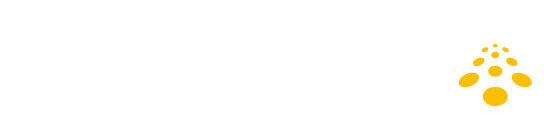 Logo_Carristur_branco_amarelo